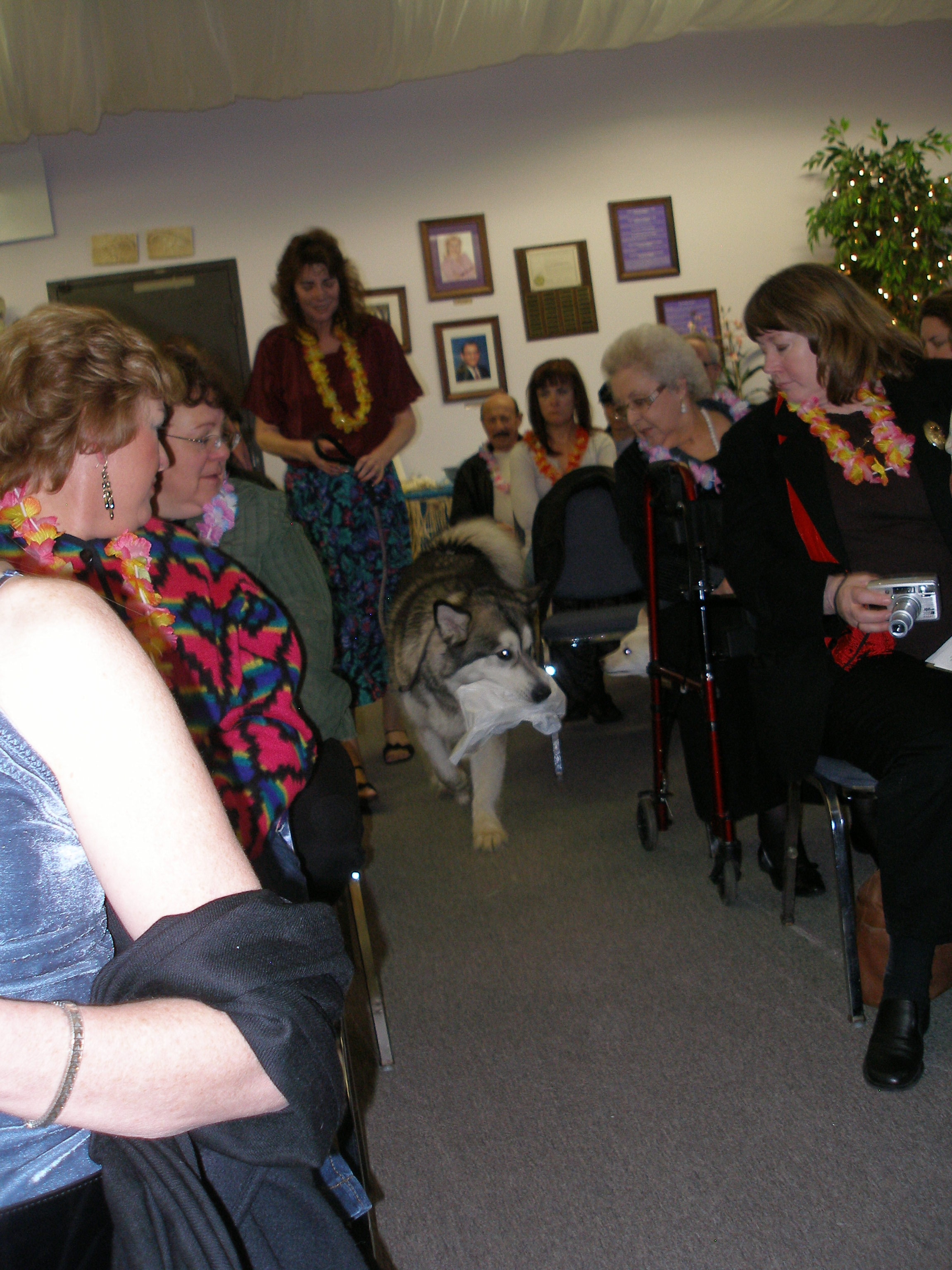 Rev. Lynn Tucker ordination ceremony